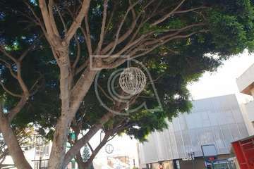 Alumbrado navideño de la plaza de San Juan (Foto TA)